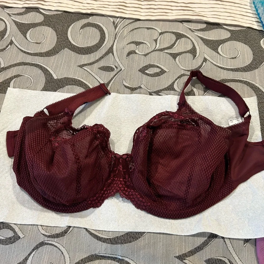 Eloni burgundy bra - Picture 3 of 5